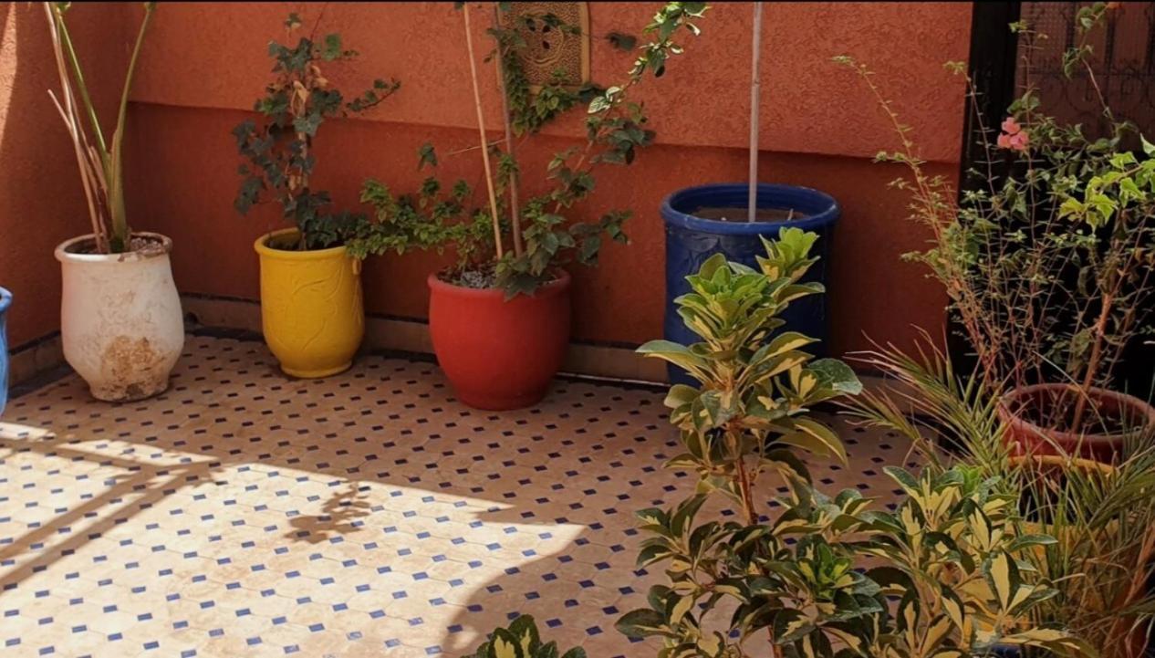 מרקש Charmant Riad Au Coeur De Marrakech מראה חיצוני תמונה